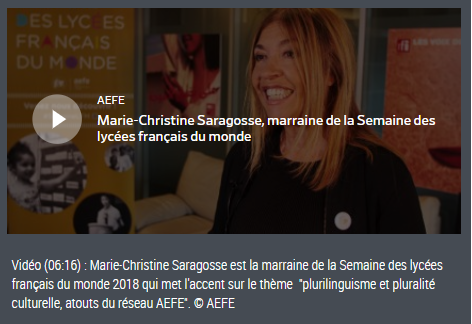 marie christine saragosse