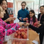 IMG_20181204_100150_resized_20181210_093150522