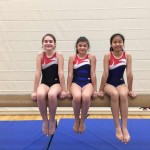 Prozap gymnastique 8