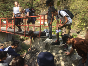 Florence Bigot-Cormier - Portrait